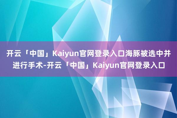 开云「中国」Kaiyun官网登录入口海豚被选中并进行手术-开云「中国」Kaiyun官网登录入口