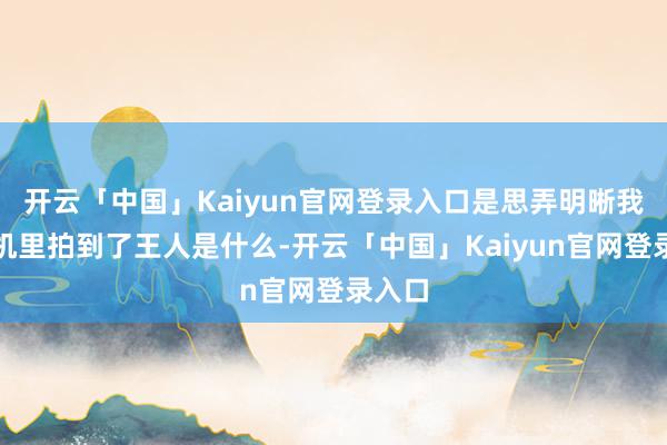 开云「中国」Kaiyun官网登录入口是思弄明晰我方手机里拍到了王人是什么-开云「中国」Kaiyun官